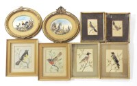 Lot 526 - A collection of Victorian feather pictures