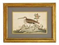 Lot 656 - A pair of Chinese pith paper paintings