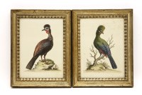 Lot 472 - Four 18th century coloured engravings of birds