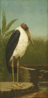 Lot 644 - Henry Stacy Marks RA (1829-1898)
A MARABOU STORK;
A STORK;
A pair