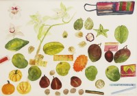 Lot 428 - Dame Elizabeth Blackadder RA RSA (b.1931)
EXOTIC FRUITS AND ORCHIDS
Signed and dated 1992 l.r.