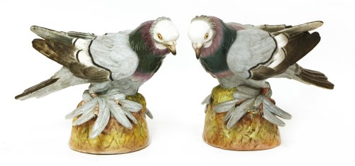 Lot 291 - A pair of Sitzendorf porcelain fancy pigeon figures