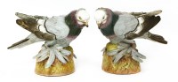 Lot 291 - A pair of Sitzendorf porcelain fancy pigeon figures
