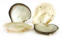 Lot 25 - A pair of late Victorian abalone shell dishes