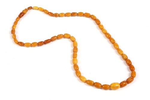 Lot 53 - A single row graduated olive shaped butterscotch amber bead necklace