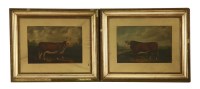 Lot 783 - English School
PRIZE BULLS
oil on board