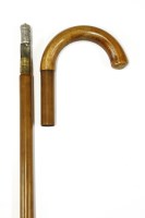 Lot 488A - A walking cane