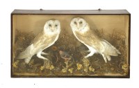 Lot 267 - A pair of stuffed barn owls and a finch