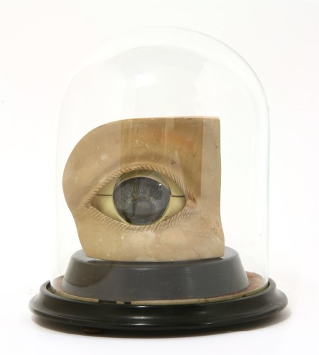 Lot 332 - THE HUMAN EYE