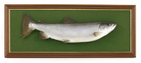 Lot 844 - A large cast model of a salmon