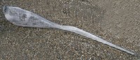 Lot 1036 - A sperm whale jawbone