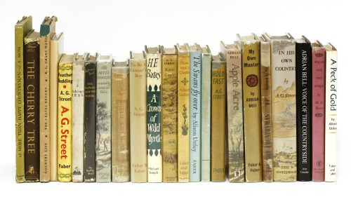 Lot 436 - RURAL: Street