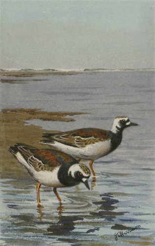 Lot 202 - John Cyril Harrison (1892-1985)