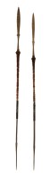 Lot 222 - Two Naga spears
