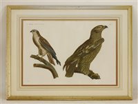 Lot 221 - Louis Boughet (1765-1814) after Jaques Barraband (1767-1809)