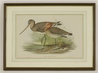 Lot 221 - Louis Boughet (1765-1814) after Jaques Barraband (1767-1809)