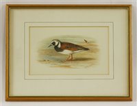 Lot 221 - Louis Boughet (1765-1814) after Jaques Barraband (1767-1809)