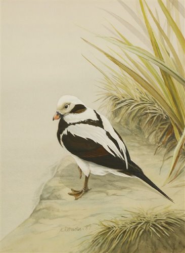 Lot 205 - Kevin Richardson (20th century)