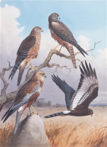 Lot 216 - John Cyril Harrison (1898-1985)
