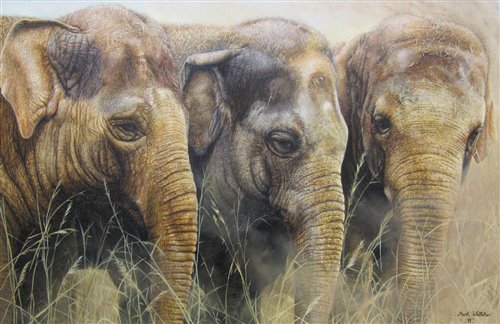 Lot 254 - Mark Whittaker (b.1964)