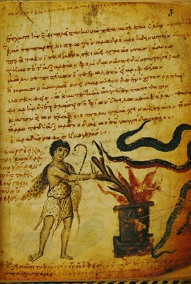Lot 240 - Theriaka & Alexipharmaka (Byzantine treatise on Toxicology written in Greek 11BC by Nicader)