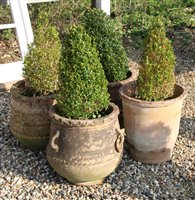 Lot 1121 - Three terracotta olive jars