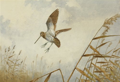 Lot 193 - John Cyril Harrison (1898-1985)