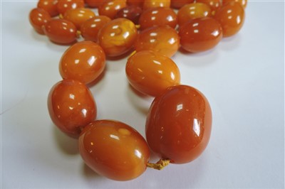 Lot 203 - A single row graduated, olive shaped, butterscotch amber bead necklace