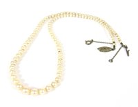 Lot 279 - A single row graduated cultured pearl necklace