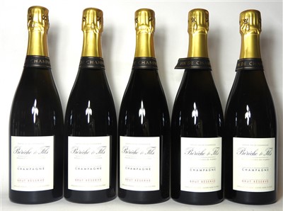 Lot 207 - Assorted Champagne (Bereche & Fils) and Wine (Two Hands and Casale), nine bottles in total
