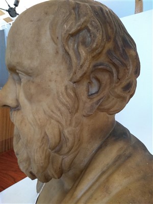 Lot 216 - An Italian carved marble bust of Socrates