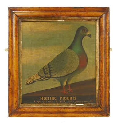 Lot 292A - A pair of naive pictures of homing pigeons