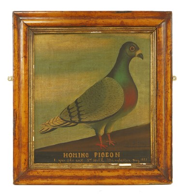 Lot 292A - A pair of naive pictures of homing pigeons