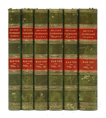 Lot 97 - Baxter, W: British phaenogamous botany, in 6 volumes.