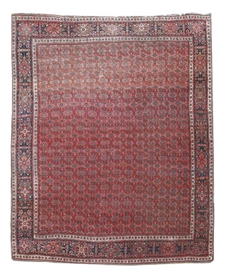 Lot 681A - A good Mashed carpet