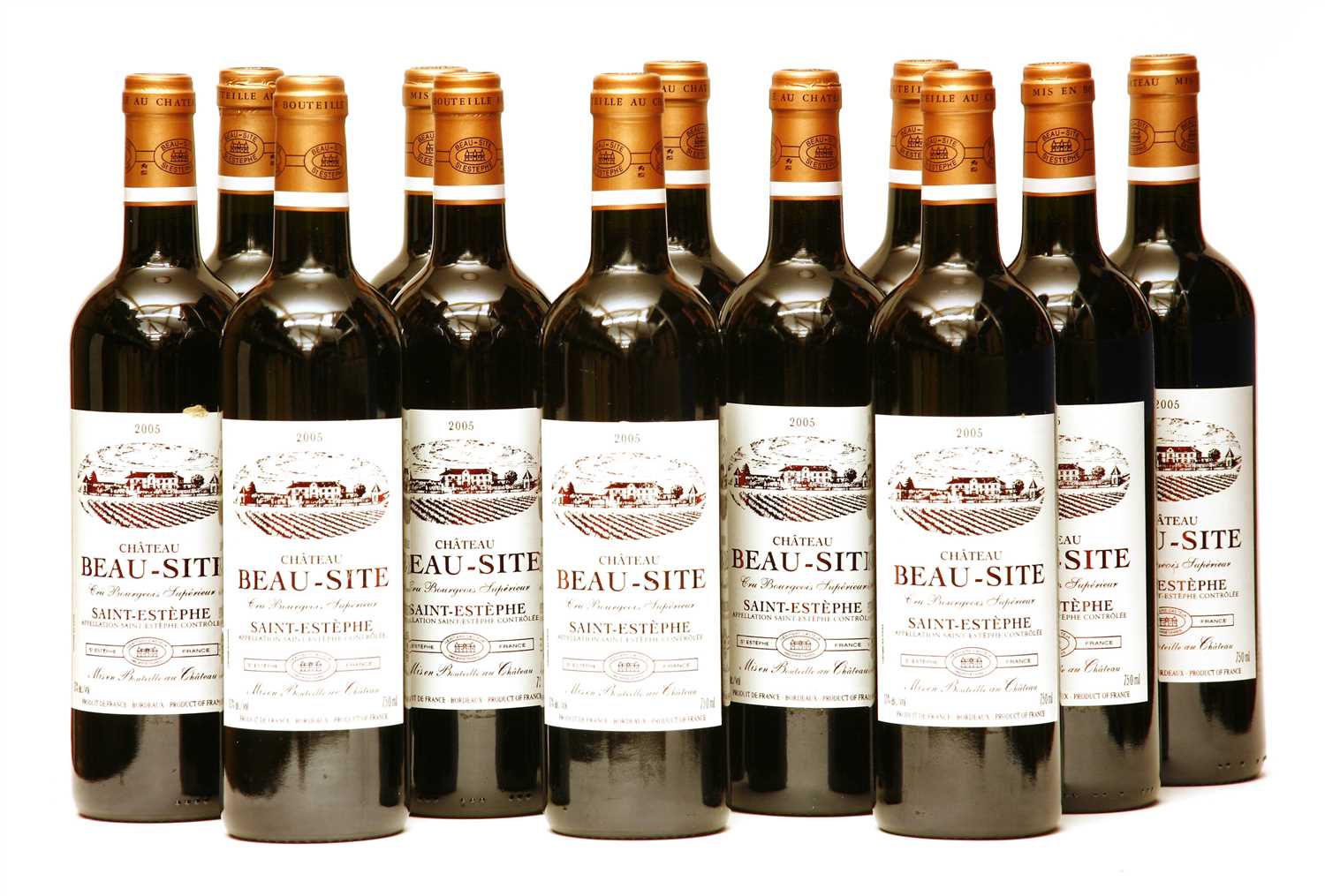 Lot 141 - Château Beau-Site, Saint-Estèphe, Cru Bourgeois Supérieur, 2005, twelve bottles (boxed)