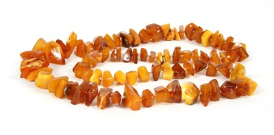 Lot 27A - A butterscotch and yellow amber shard necklace