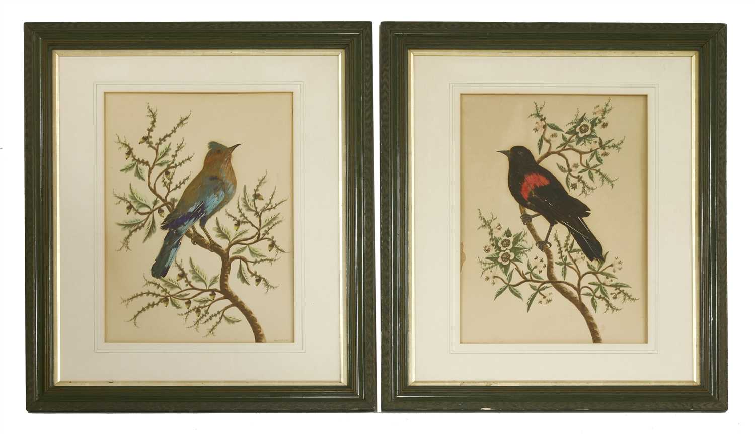 Lot 451 - A pair of feathered bird pictures
