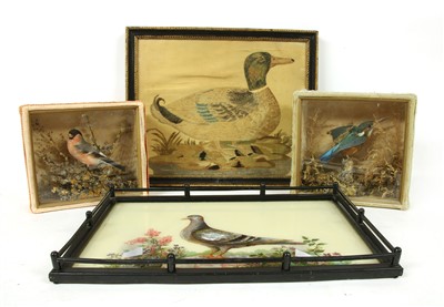 Lot 208 - An early 20th century pigeon tray