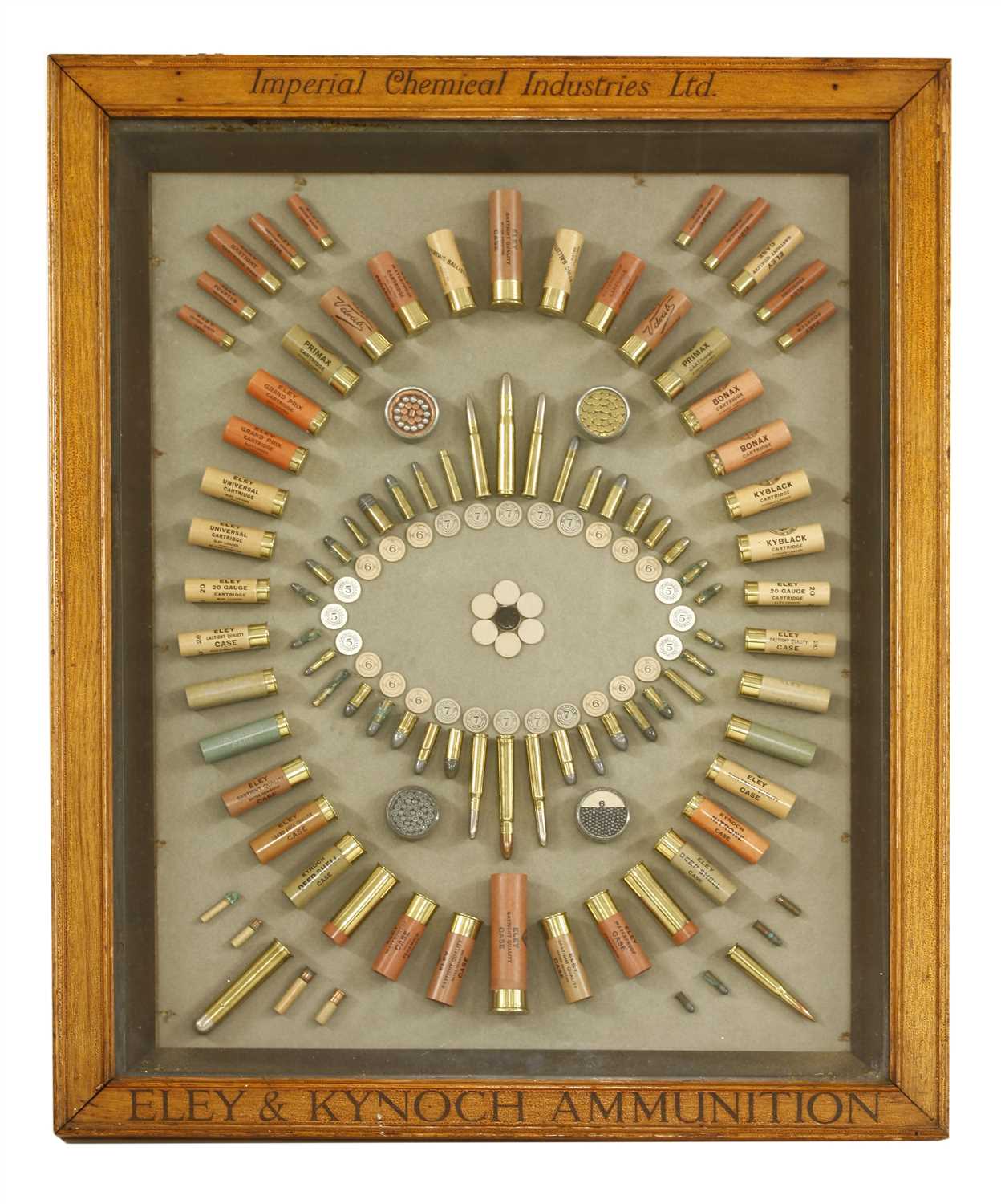Lot 562 - An Eley & Kynoch ammunition cartridge display board