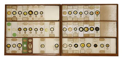 Lot 174 - A mahogany cabinet of microscope slides