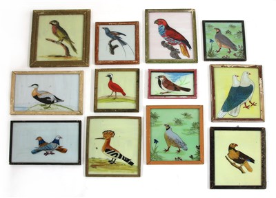 Lot 442 - Twelve Indian reverse glass paintings of birds