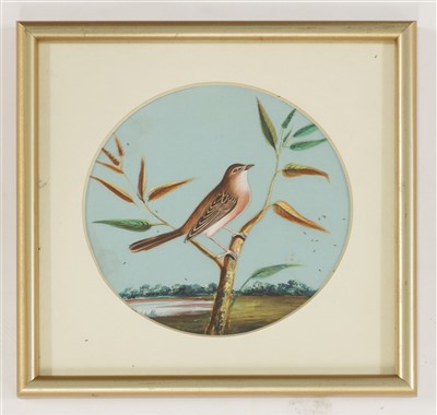 Lot 151 - Eight circular paintings on mica of Indian birds