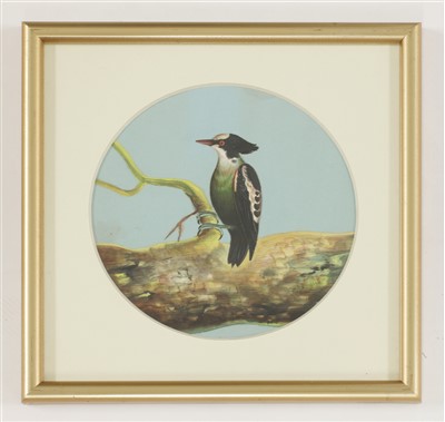 Lot 151 - Eight circular paintings on mica of Indian birds