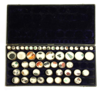 Lot 142 - A collection of specimen stones