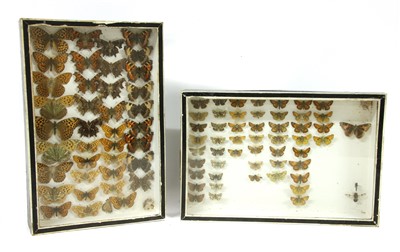 Lot 453 - A group of six cased butterfly specimens