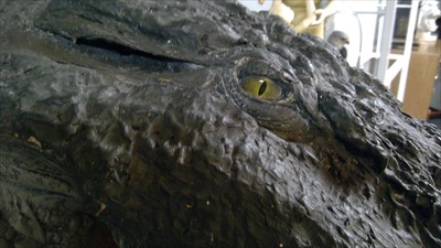 Lot 465 - CROCODILE HEAD