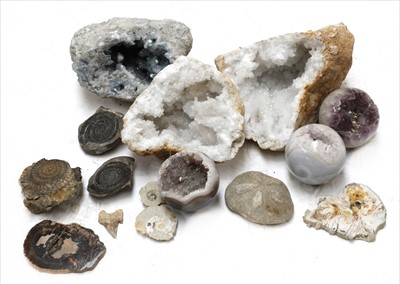 Lot 306 - FOSSILS AND MINERALS