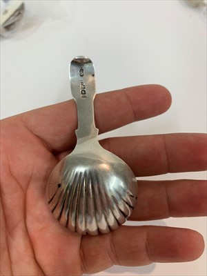 Lot 23 - A George IV silver caddy spoon
