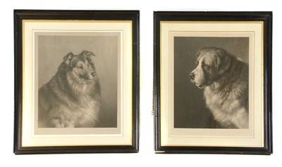 Lot 1530A - A pair of signed dog prints